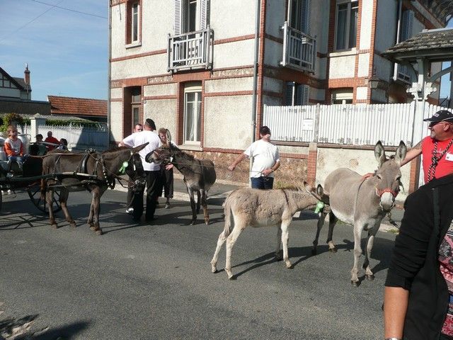 dimanche (74).jpg
